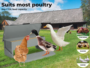 Automatic Chicken Feeder - 50% OFF Today Only