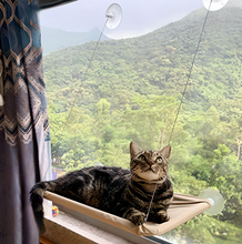 Load image into Gallery viewer, Cat Window Hammock - 50% Off Today Only
