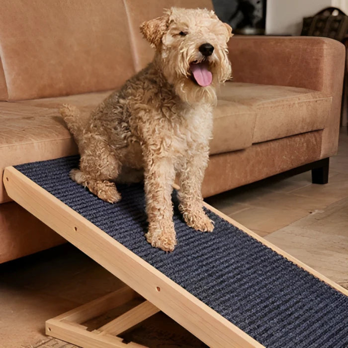 Sturdy & Adjustable Dog Ramp - 50% OFF Today Only