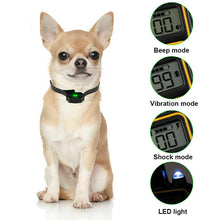 Load image into Gallery viewer, Pain Free Dog Training Collar - 50% Off Today Only!
