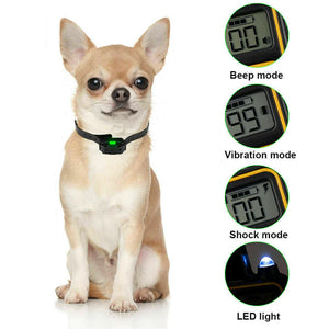 Pain Free Dog Training Collar - 50% Off Today Only!