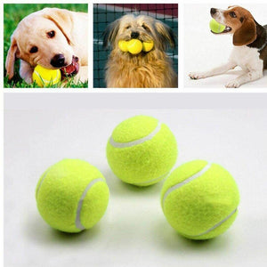 Pets Ball Thrower Toy - 50% OFF Today Only