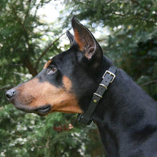 Load image into Gallery viewer, Pain Free Dog Training Collar - 50% Off Today Only!
