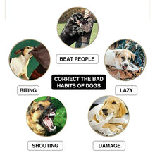 Load image into Gallery viewer, Pain Free Dog Training Collar - 50% Off Today Only!
