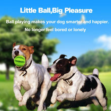 Load image into Gallery viewer, Teeth Cleaning Chew Treat Ball - 50% Off Today Only
