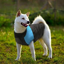 Load image into Gallery viewer, Dog Care Waterproof Winter Jacket - 50% OFF Today Only
