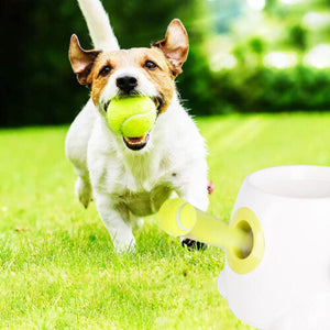 Pets Ball Thrower Toy - 50% OFF Today Only